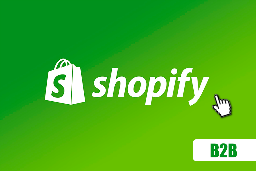 Desarrollo de Ecommerce en Shopify. Modelo B2B
