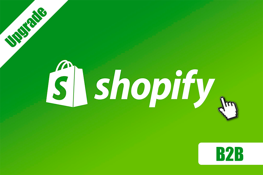 Upgrade de Ecommerce en Shopify (Modelo B2B)